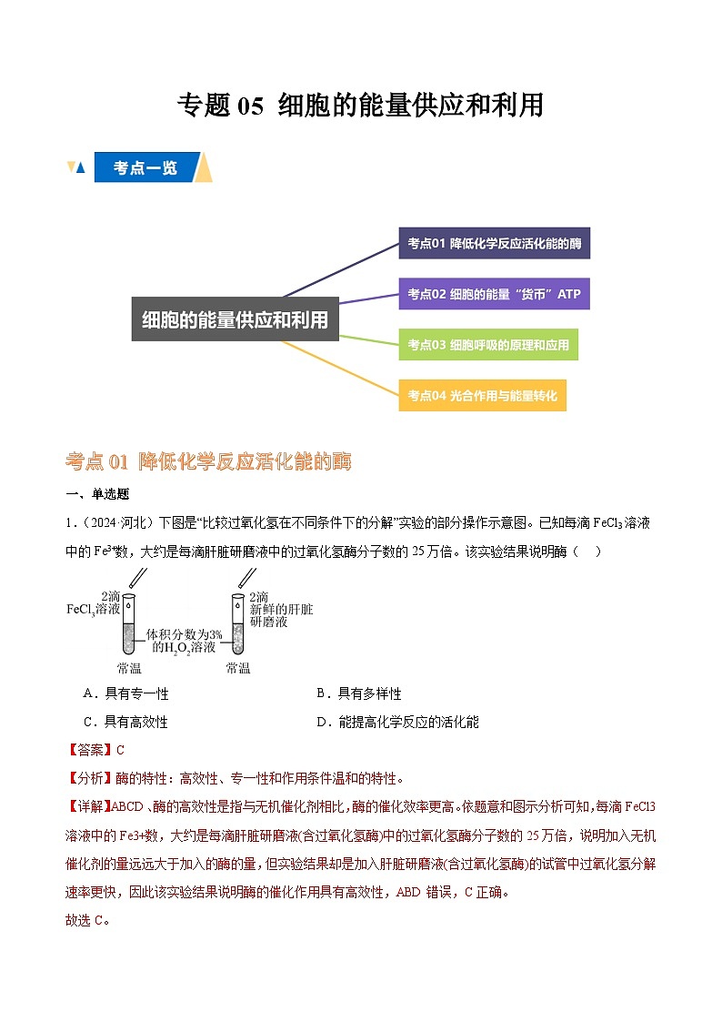 专题05 细胞的能量供应和利用（解析版）第1页