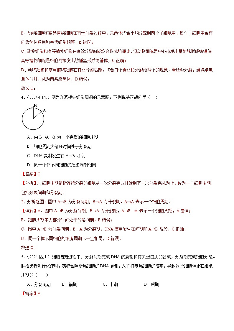 专题06 细胞的生命历程（解析版）第3页
