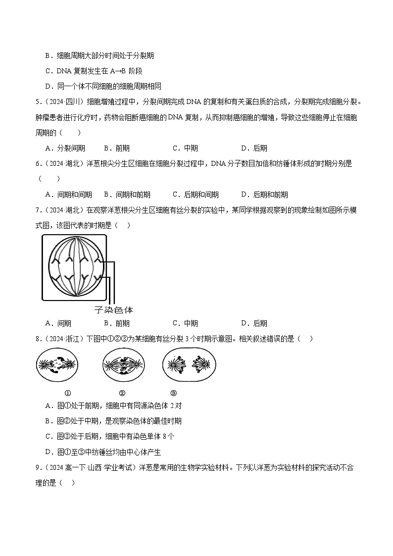 专题06 细胞的生命历程（原卷版）第2页