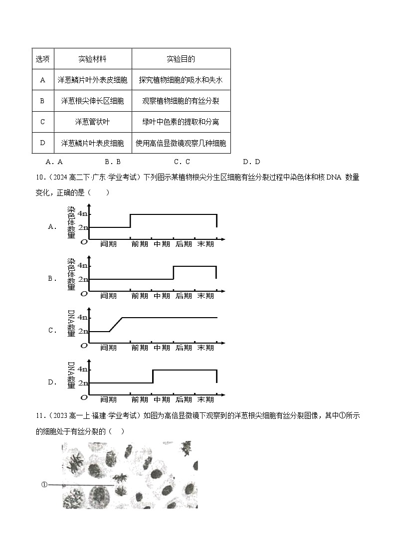 专题06 细胞的生命历程（原卷版）第3页