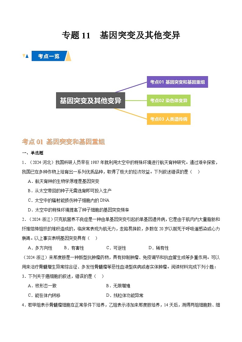 专题11 基因突变及其他变异（原卷版）第1页