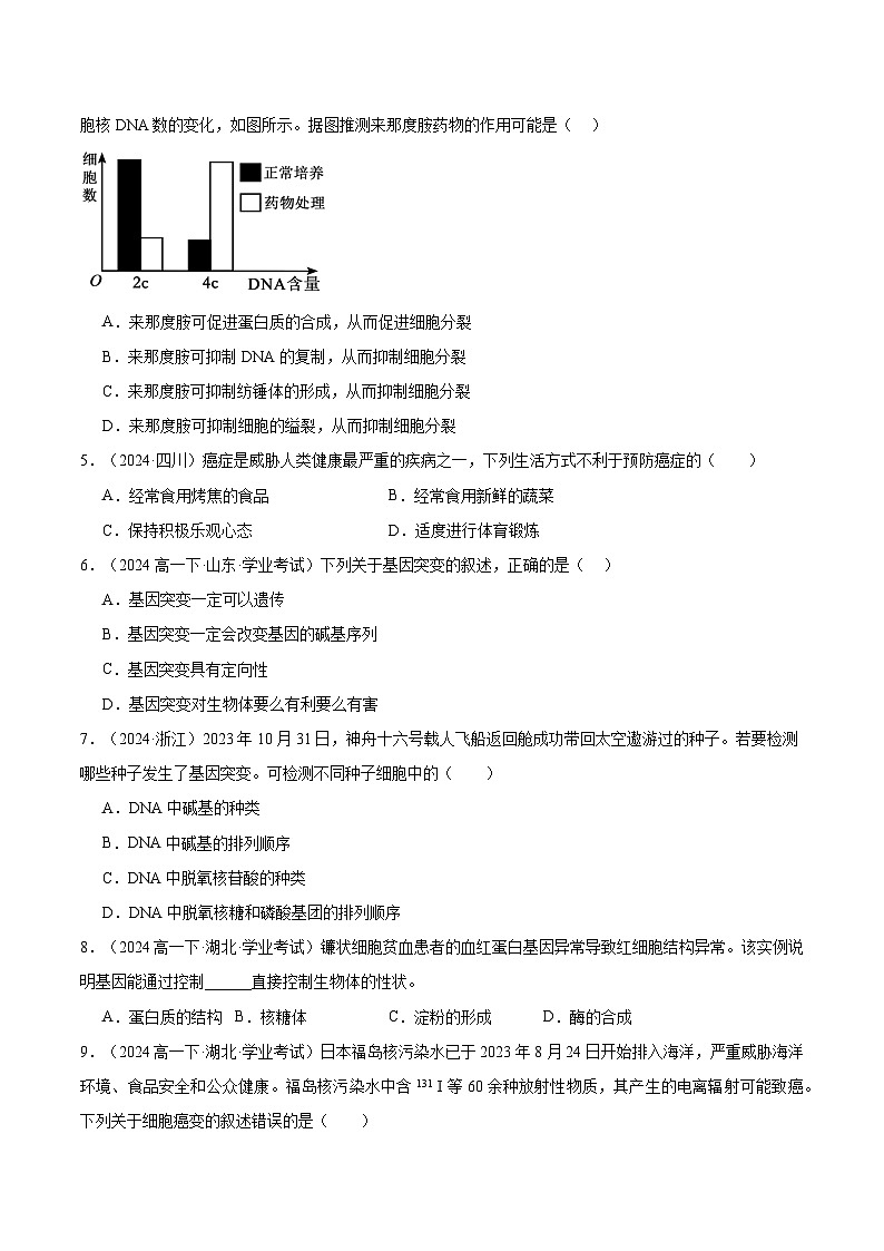专题11 基因突变及其他变异（原卷版）第2页