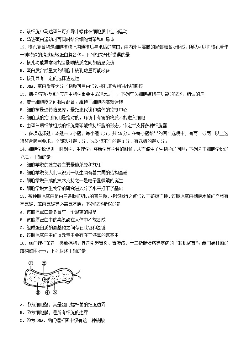 河北省沧衡八校联盟2023_2024学年高一生物上学期11月期中试题第3页