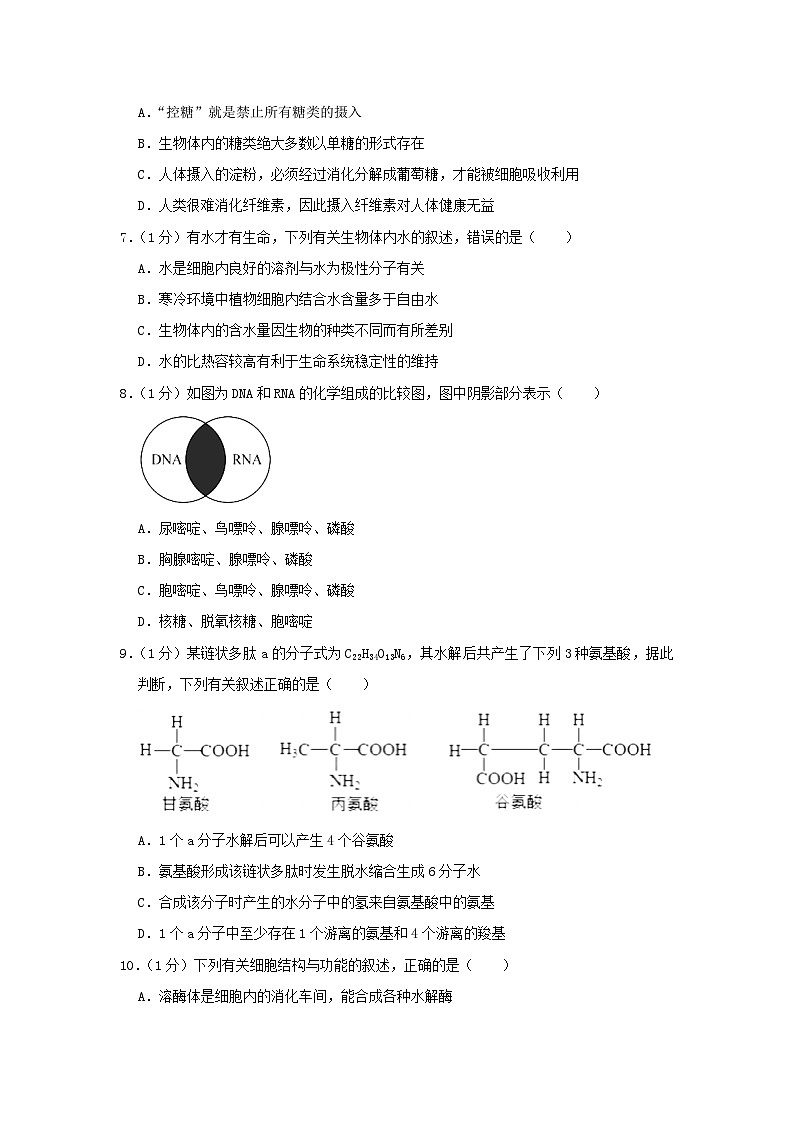 黑龙江省哈尔滨市2023_2024学年高一生物上学期期中试题含解析第2页