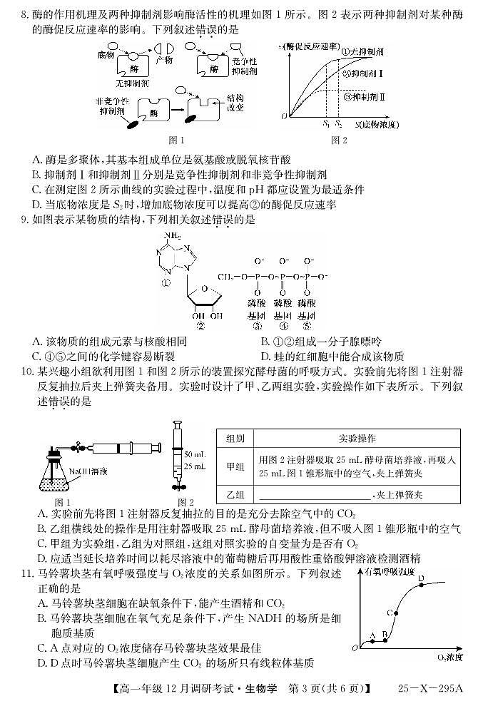 27 届高一年级 TOP二十名校12月调研考试生物试卷第3页