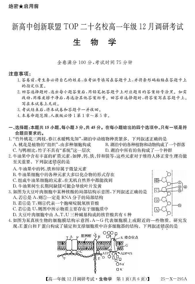 河南省新高中创新联盟TOP二十名校2024-2025学年高一上学期12月调研生物试卷及答案第1页