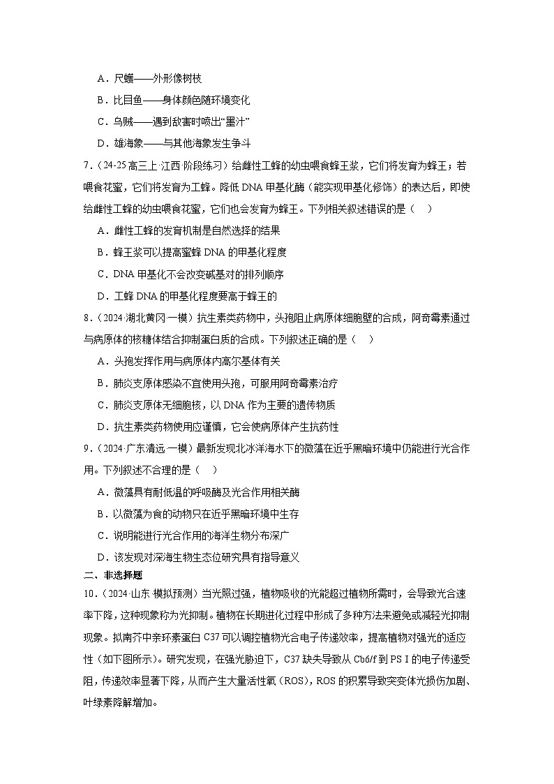 人教版（2019）高中生物必修二《遗传与进化》第6章生物的进化6.2 《自然选择与适应的形成》A组基础练（解析版）第2页