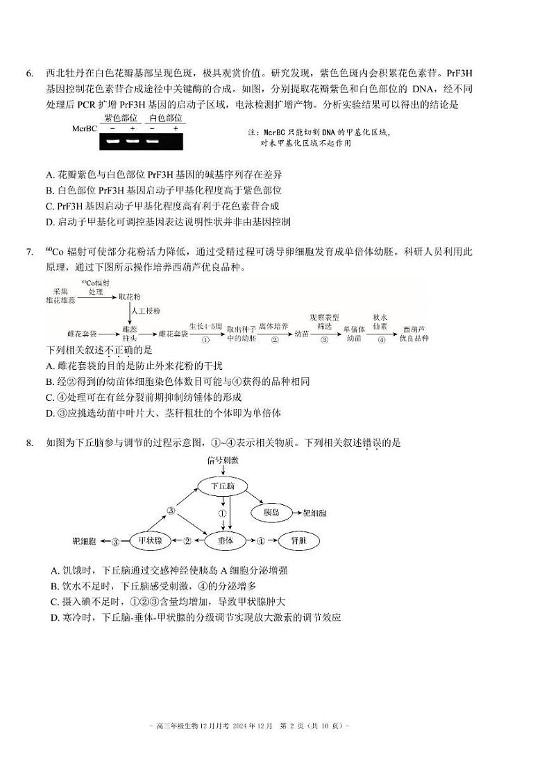 2024北京二中高三上12月月考生物试卷.第2页