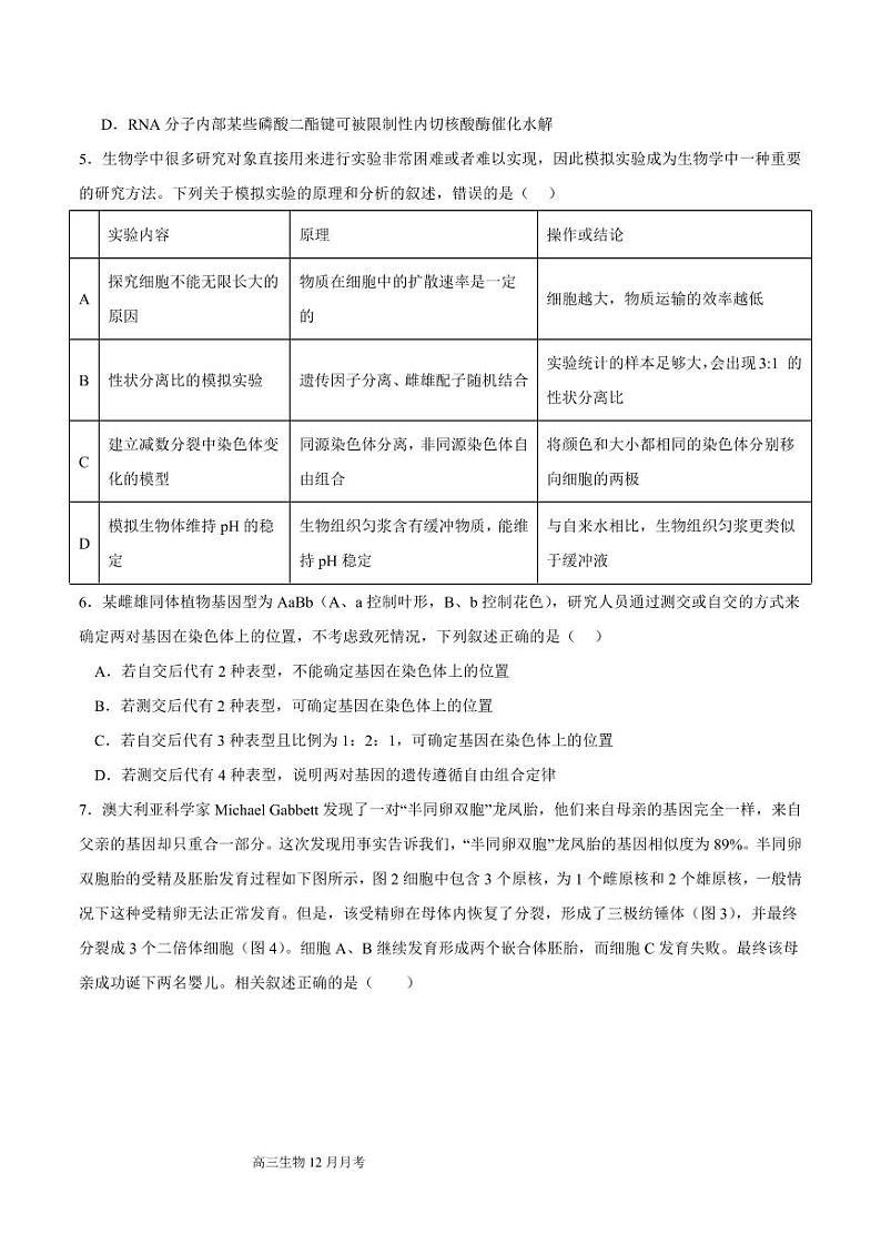 生物丨四川省成都列五中学2025届高三上学期12月月考生物试卷及答案第2页