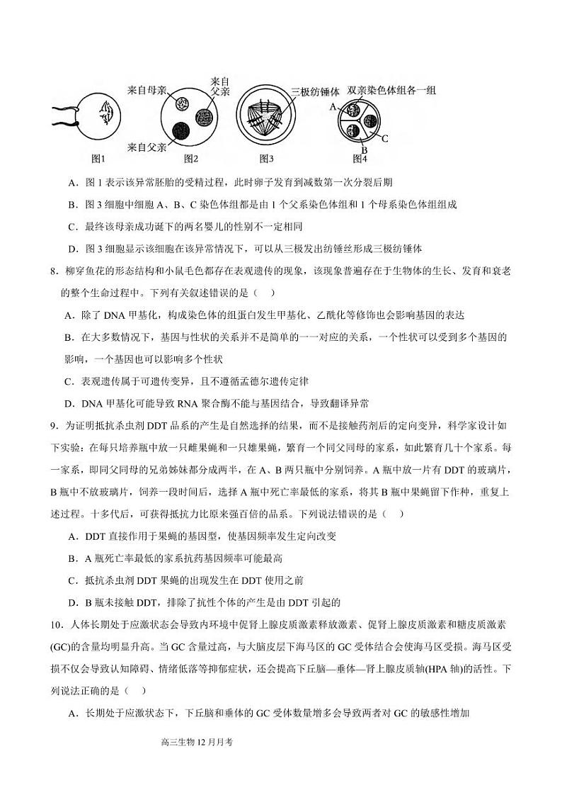 生物丨四川省成都列五中学2025届高三上学期12月月考生物试卷及答案第3页
