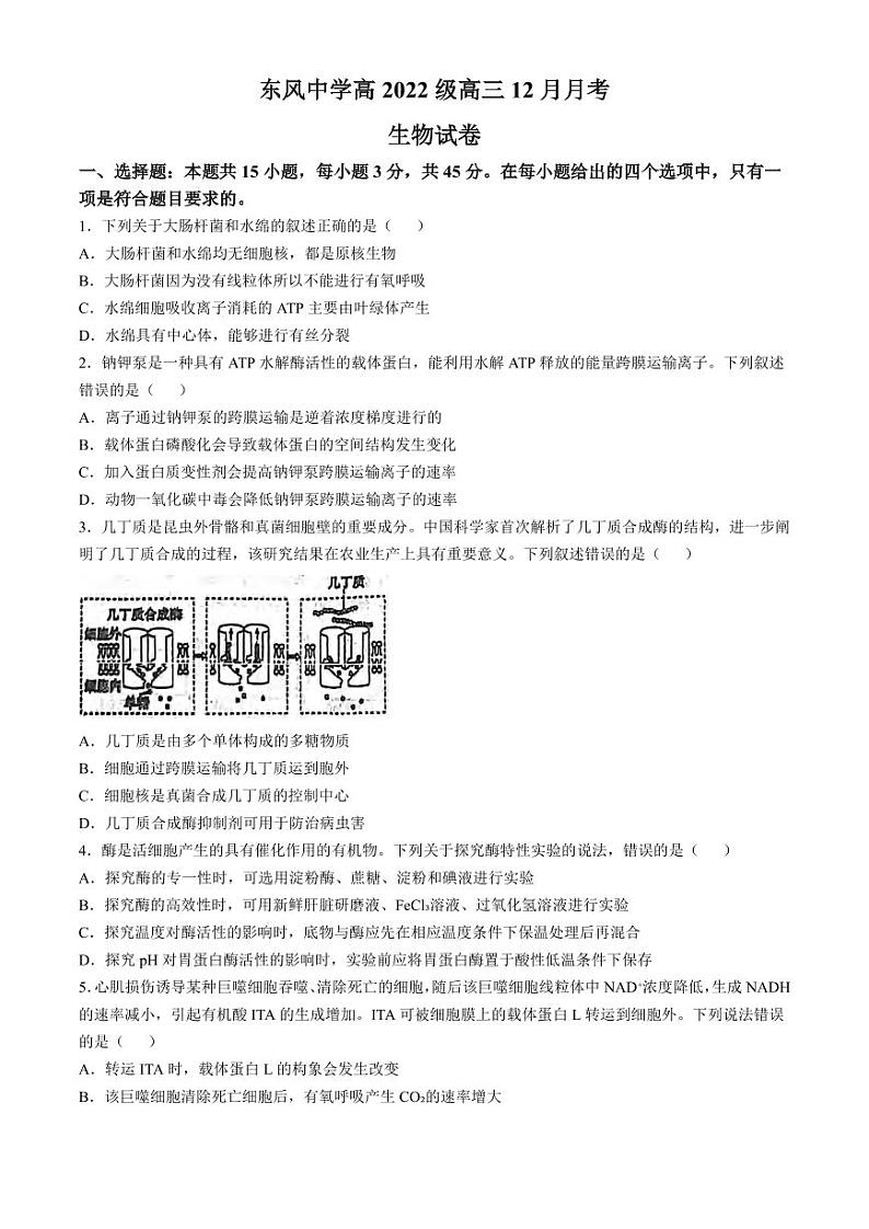 生物丨四川省南充市阆中东风学校2025届高三12月月考生物试卷及答案第1页