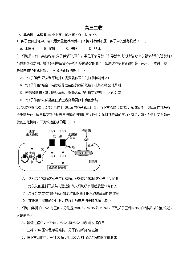 2025成都列五中学高三上学期12月月考生物试题含答案第1页