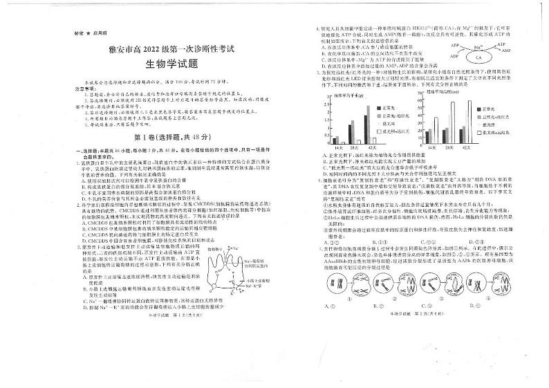 2025九（广安、眉山、遂宁、雅安、资阳、乐山、广元、自贡、内江）高三上学期12月一诊生物试题扫描版含答案第1页