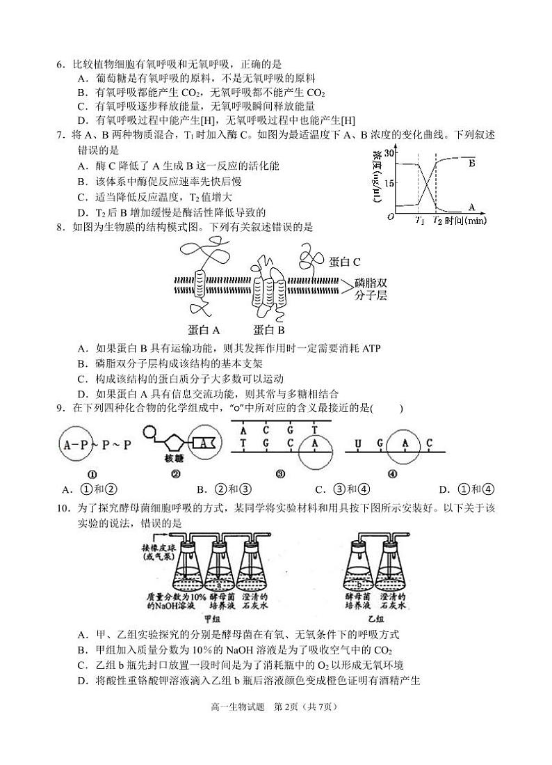 生物试题第2页