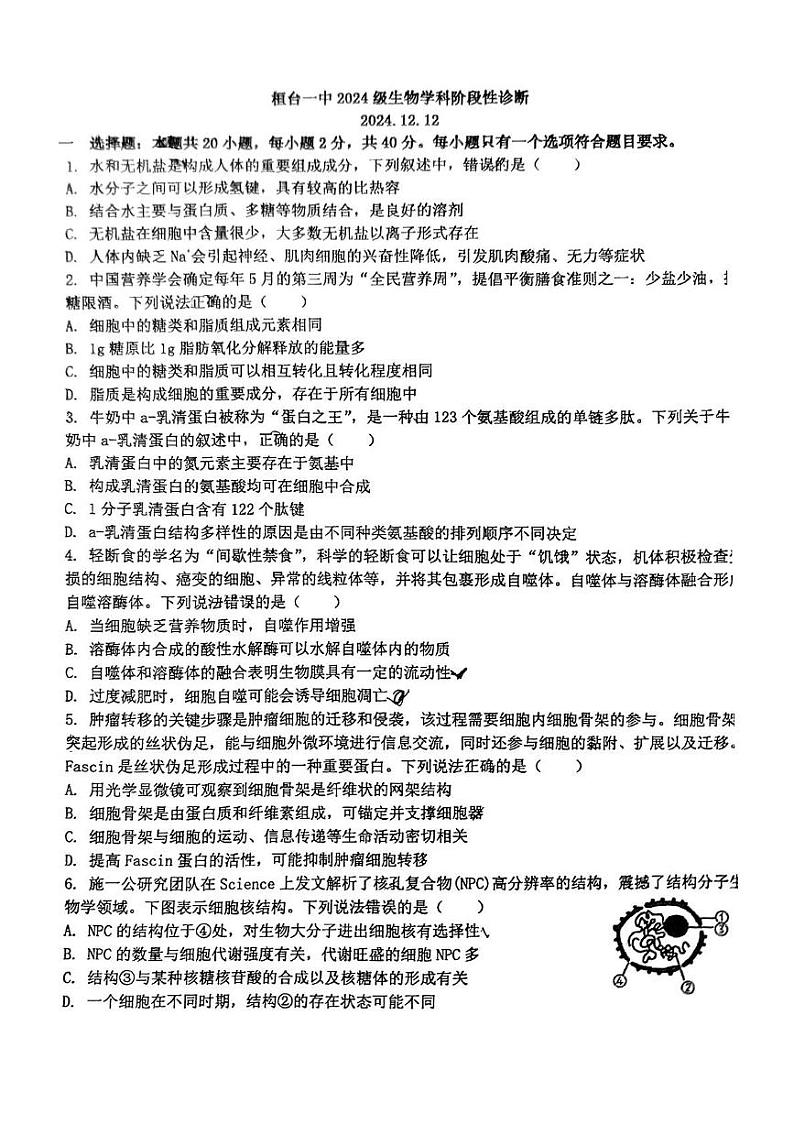 山东省桓台第一中学2024-2025学年高一上学期12月月考生物试题第1页