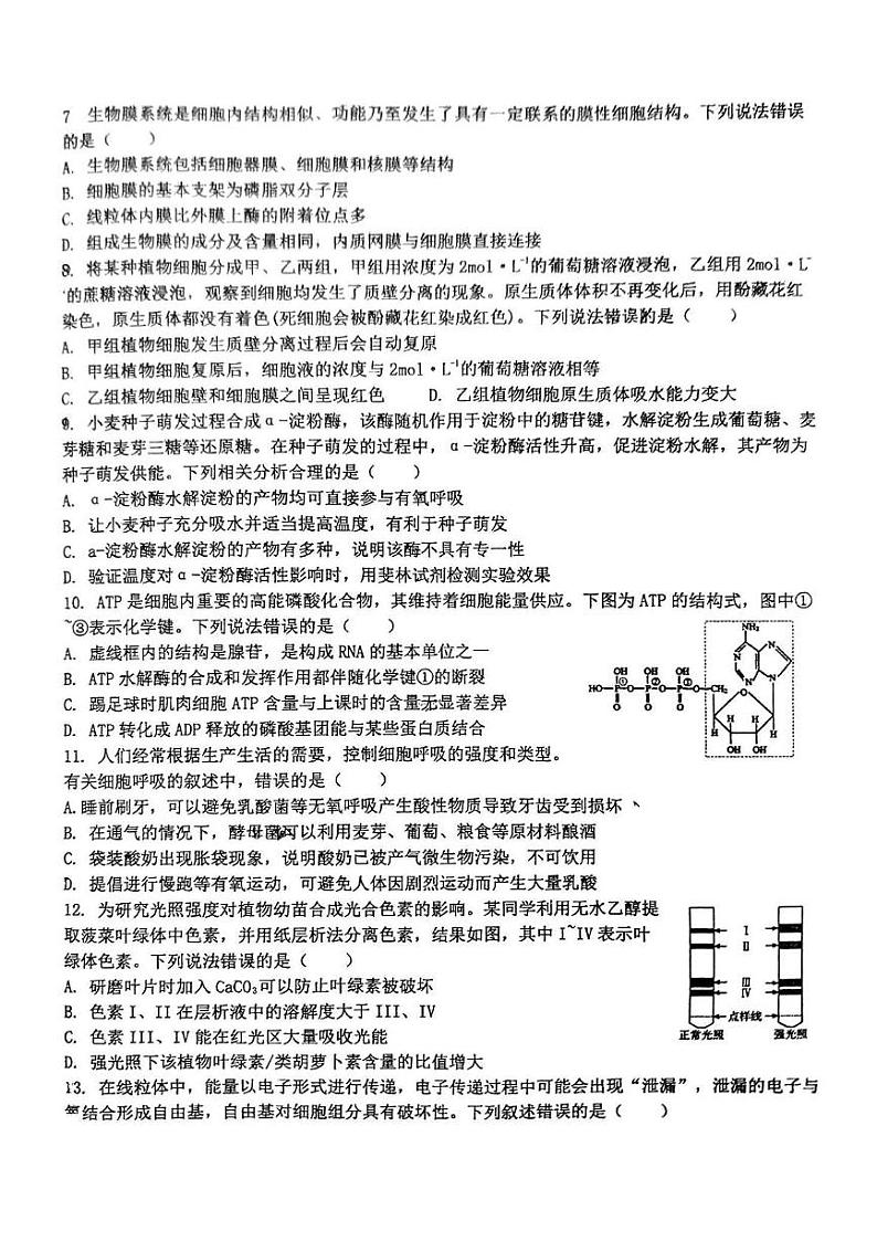 山东省桓台第一中学2024-2025学年高一上学期12月月考生物试题第2页