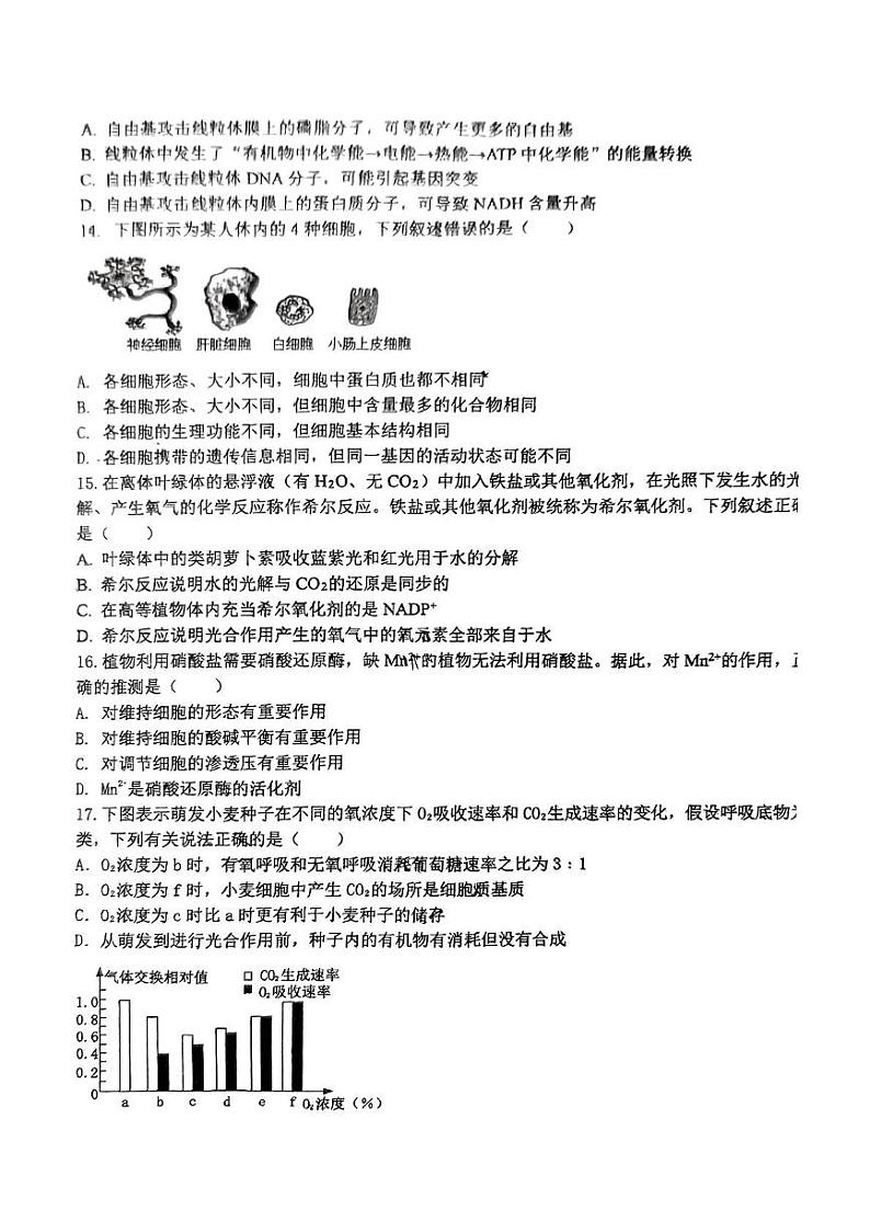 山东省桓台第一中学2024-2025学年高一上学期12月月考生物试题第3页