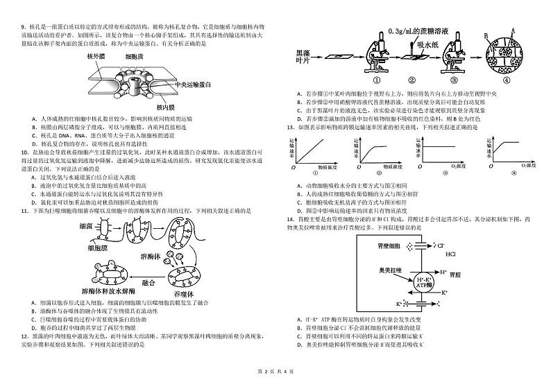 广东省梅州市梅江区广东梅县东山中学2024-2025学年高一上学期12月月考生物试题第2页