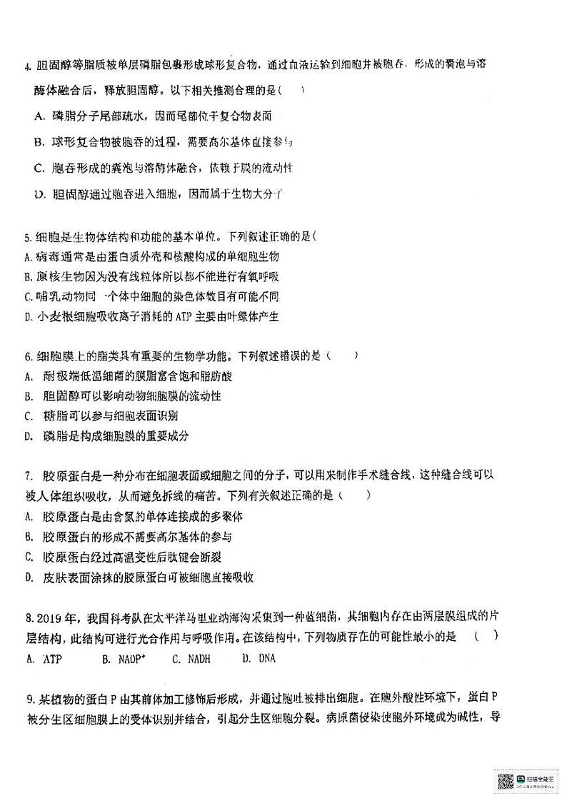 河北省石家庄实验中学2024-2025学年高一上学期12月月考生物试题第2页