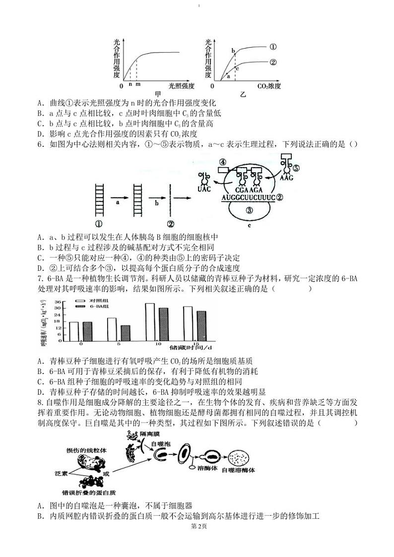 2024～2025学年广东省东莞市七校联考(月考)高三(上)12月月考生物试卷(含答案)第2页