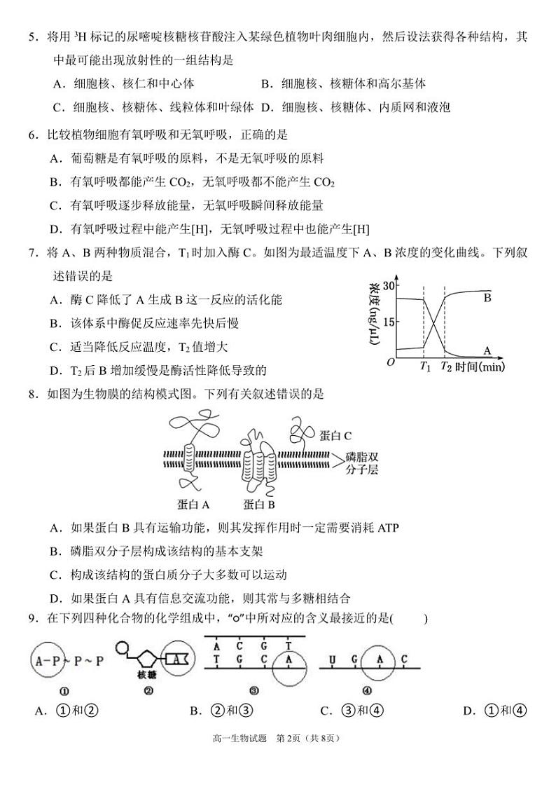 2024～2025学年四川省南充市嘉陵一中高一(上)12月月考生物试卷(含答案)第2页