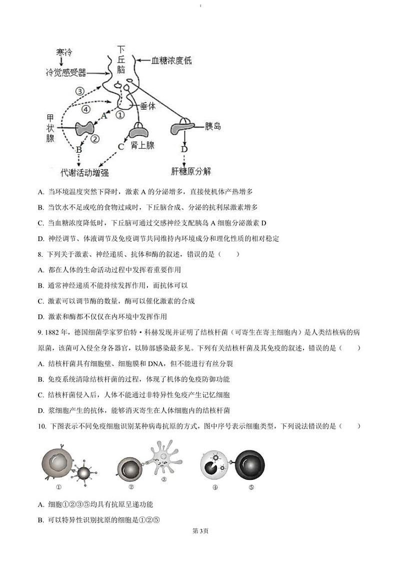 2024～2025学年河南省濮阳市高二(上)期中生物试卷(含答案)第3页