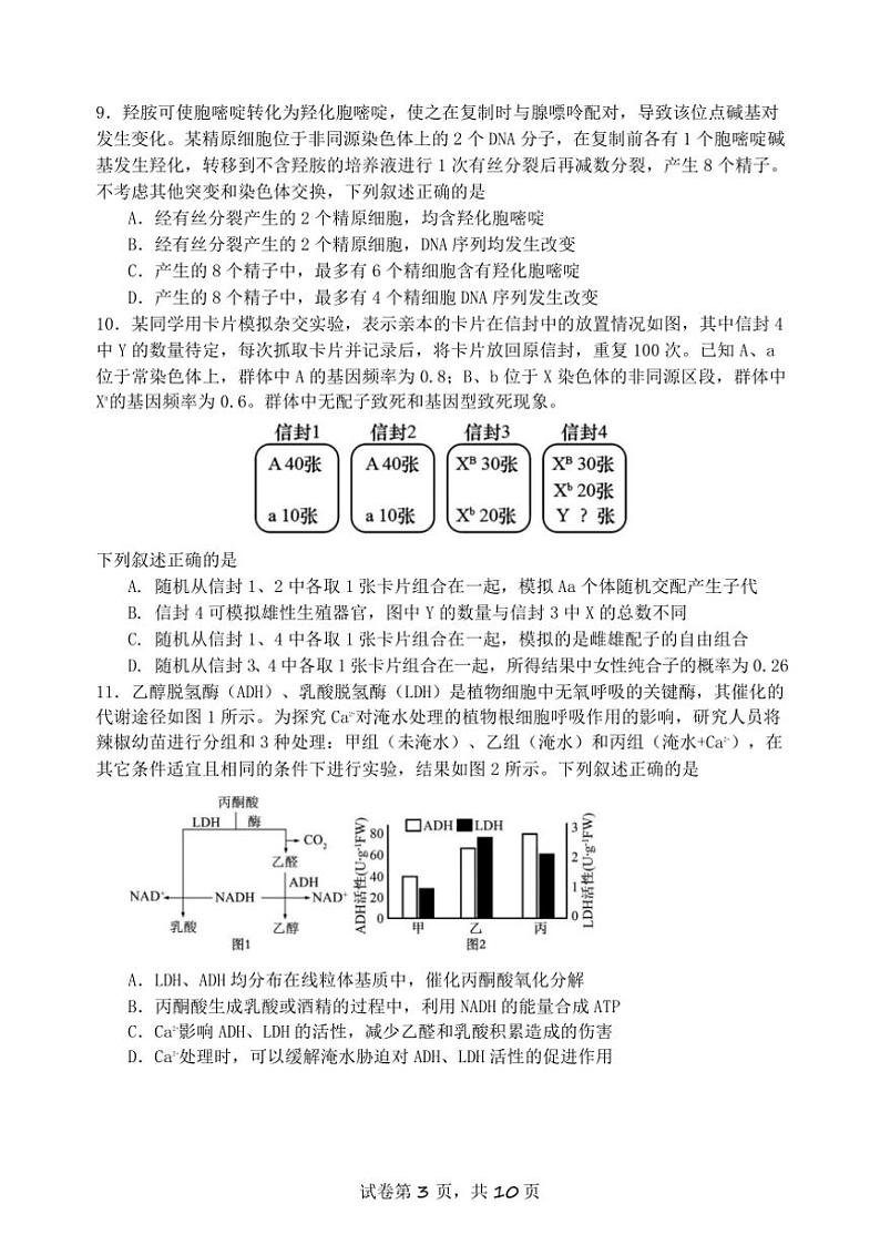 2024～2025学年福建省厦门第一中学高三(上)12月月考生物试卷(含答案)第3页
