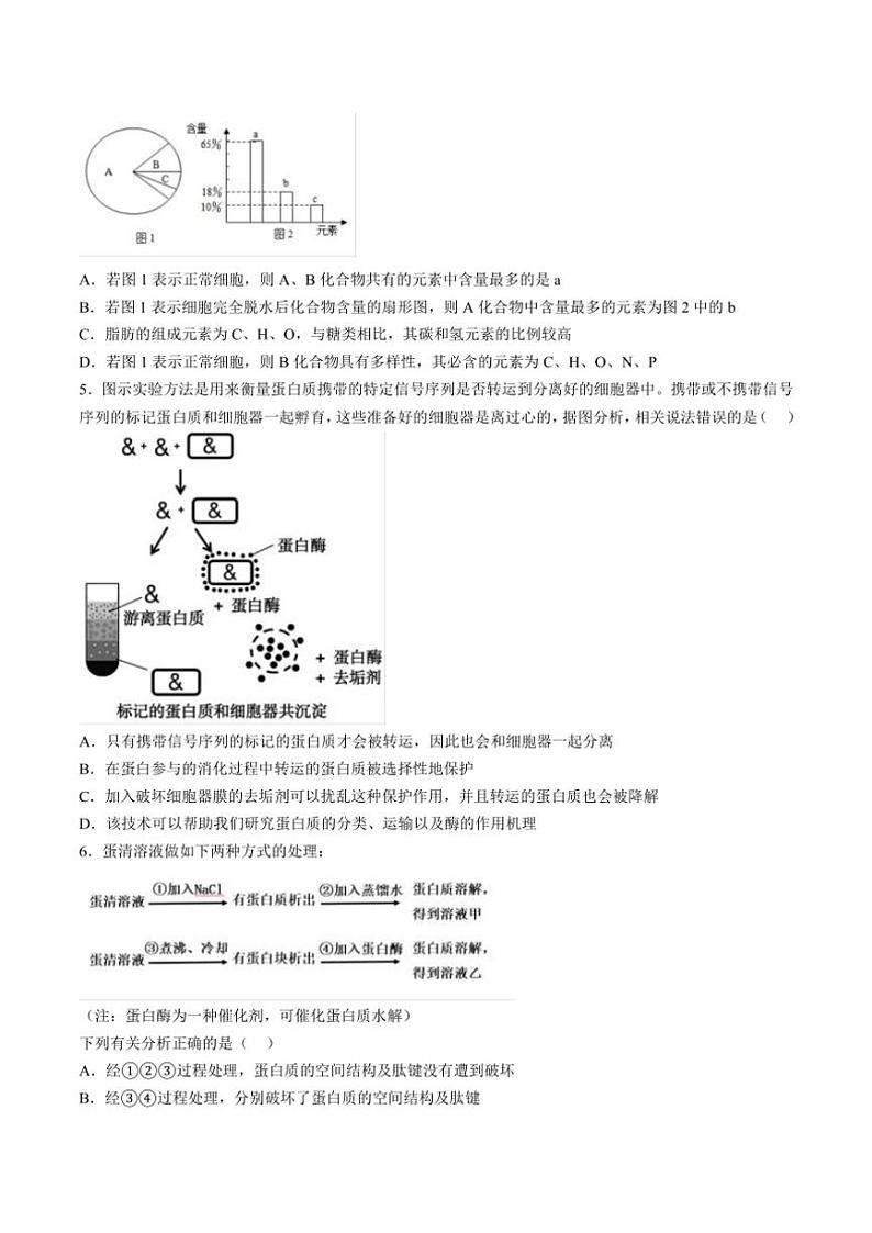 2024～2025学年湖南省邵阳市第二中学高一(上)学科竞赛生物试卷(含答案)第2页