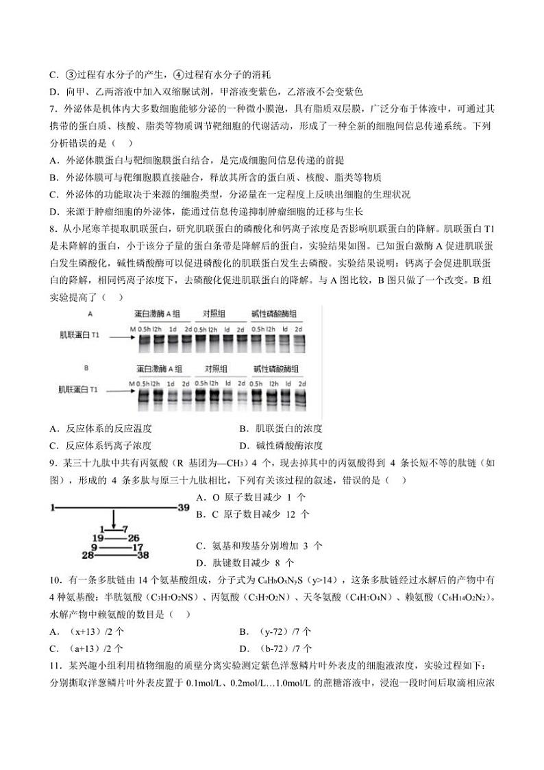 2024～2025学年湖南省邵阳市第二中学高一(上)学科竞赛生物试卷(含答案)第3页