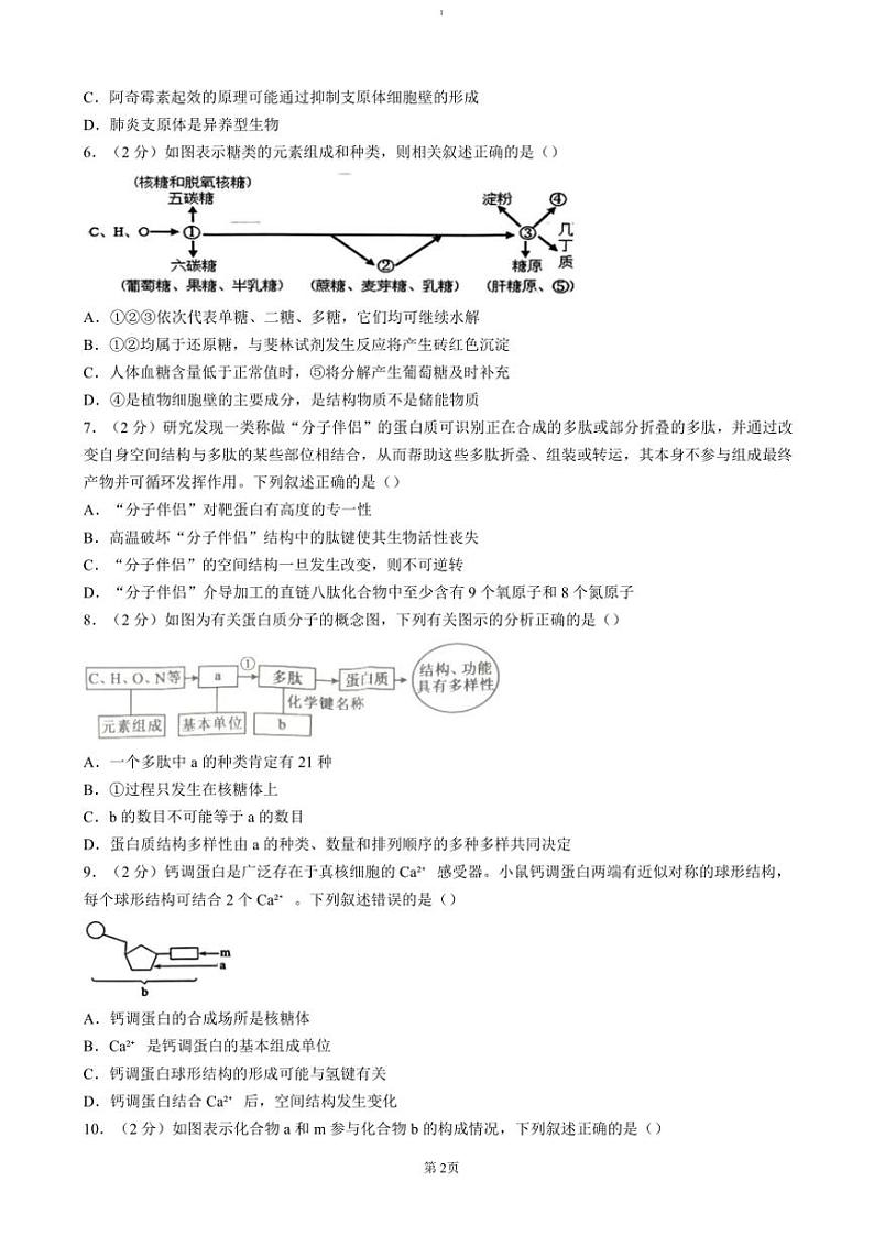 2024～2025学年湖北省重点高中智学联盟高一(上)12月月考生物试卷(含答案)第2页