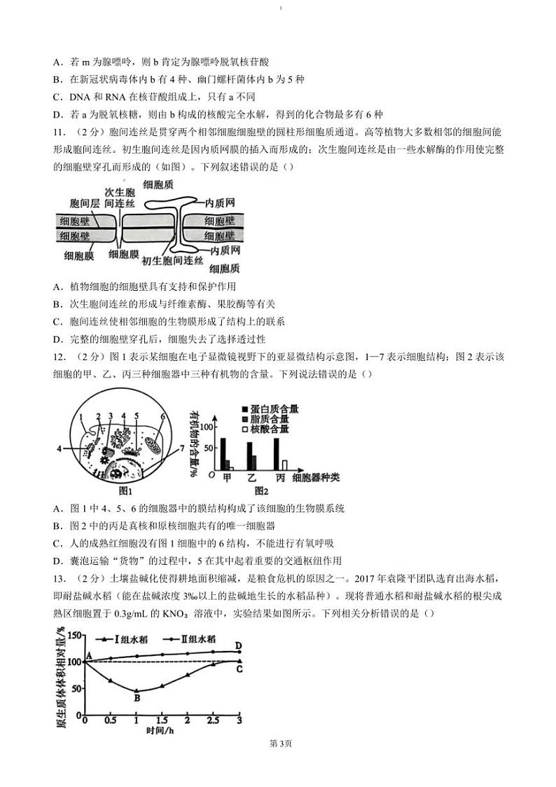 2024～2025学年湖北省重点高中智学联盟高一(上)12月月考生物试卷(含答案)第3页