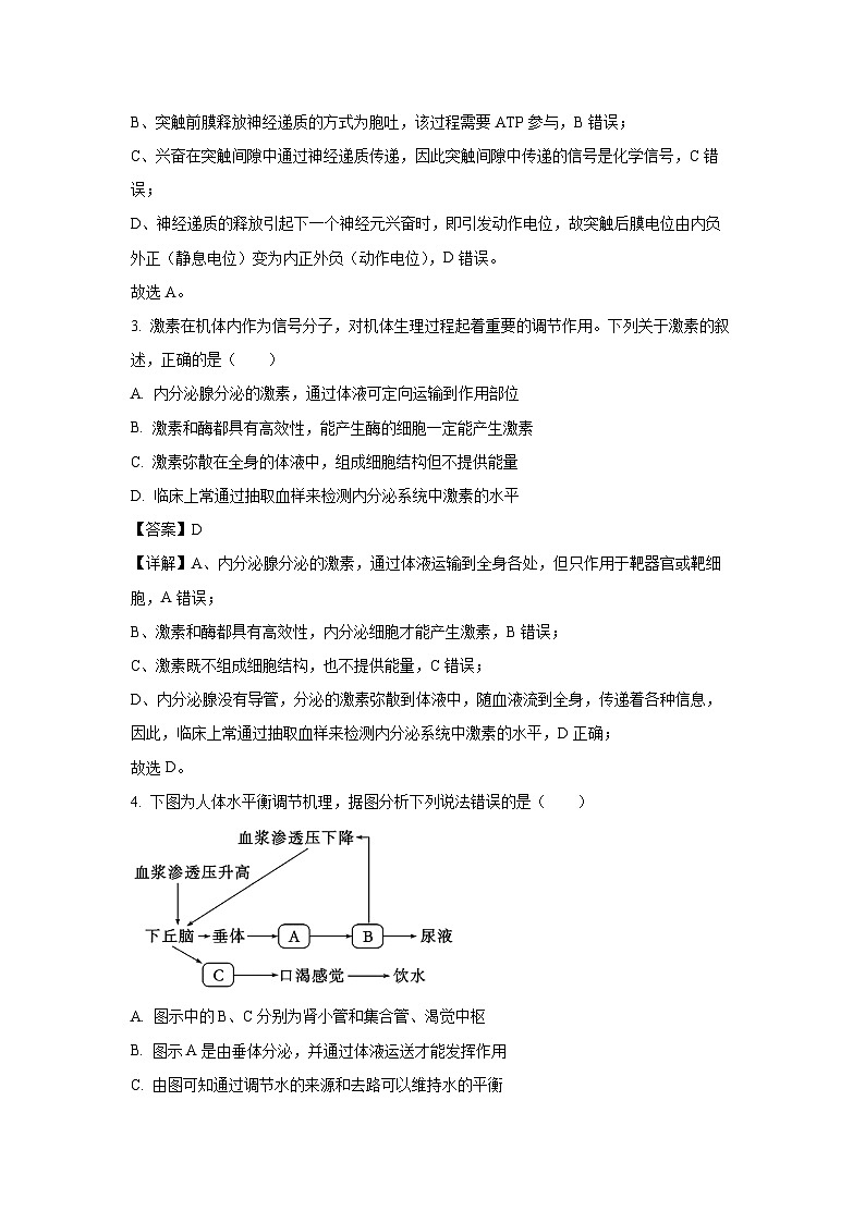 江苏省马坝高级中学2024-2025学年高二上学期期中考试（选修）生物试卷（解析版）第2页