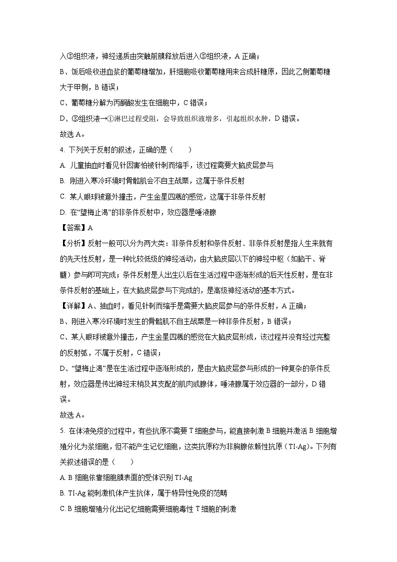 江苏省盐城市伍佑中学2024-2025学年高二上学期期中考试模拟卷生物试卷（解析版）第3页