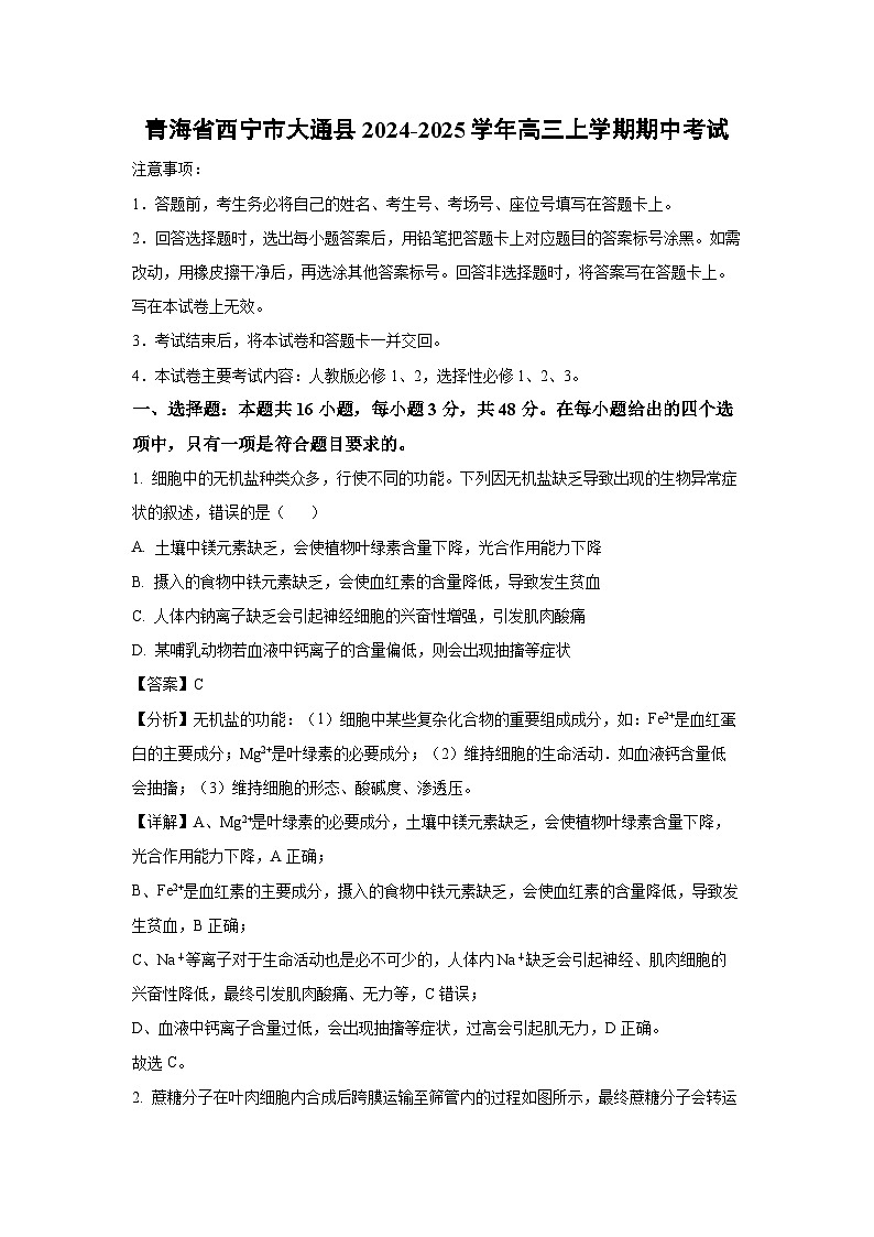 青海省西宁市大通县2024-2025学年高三上学期期中考试生物试卷（解析版）第1页