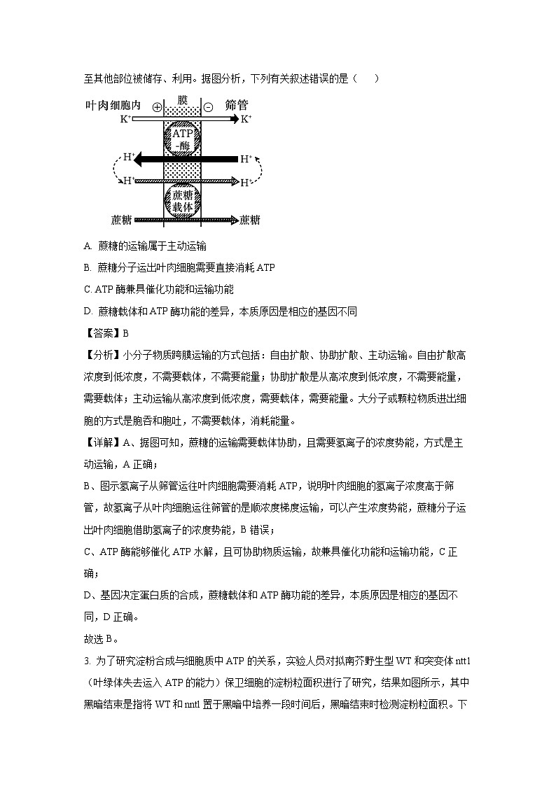 青海省西宁市大通县2024-2025学年高三上学期期中考试生物试卷（解析版）第2页