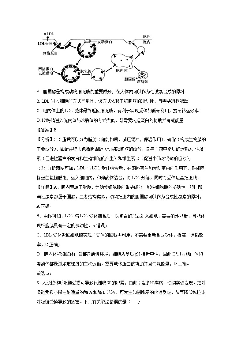 陕西省部分学校2024-2025学年高三上学期期中考试生物试卷（解析版）第2页