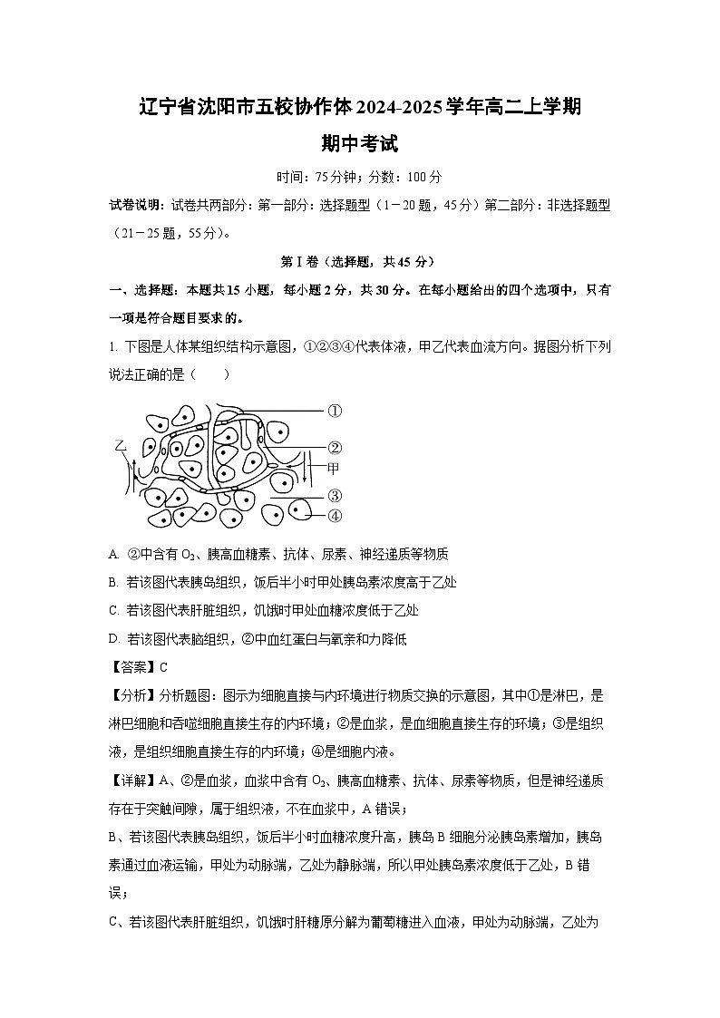辽宁省沈阳市五校协作体2024-2025学年高二上学期期中考试生物试卷（解析版）第1页