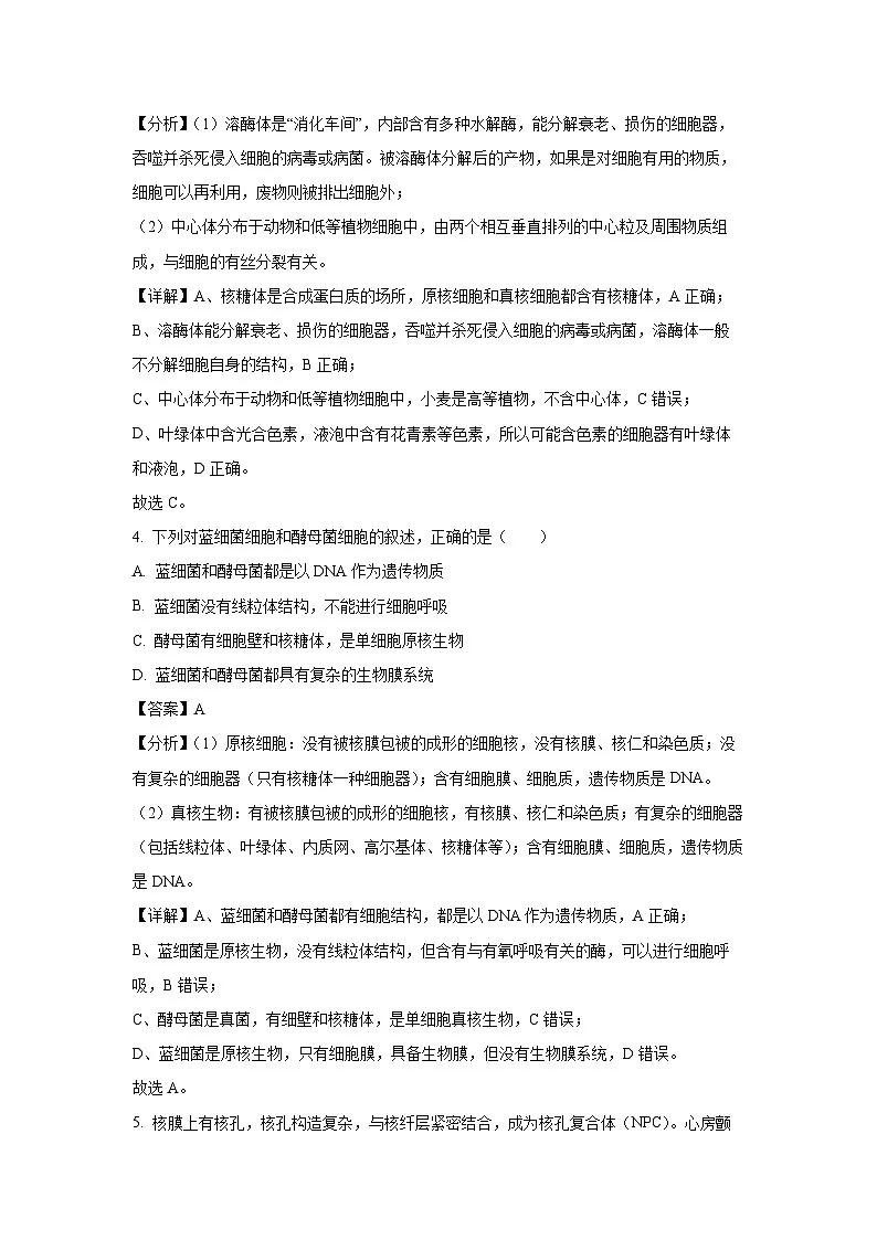 辽宁省沈阳市重点高中联合体2024-2025学年高三上学期11月期中考试生物试卷（解析版）第3页