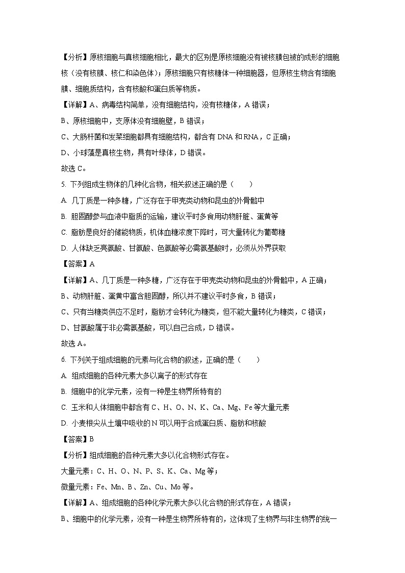 湖北省黄冈市十五校2024-2025学年高一上学期期中联考生物试卷（解析版）第3页