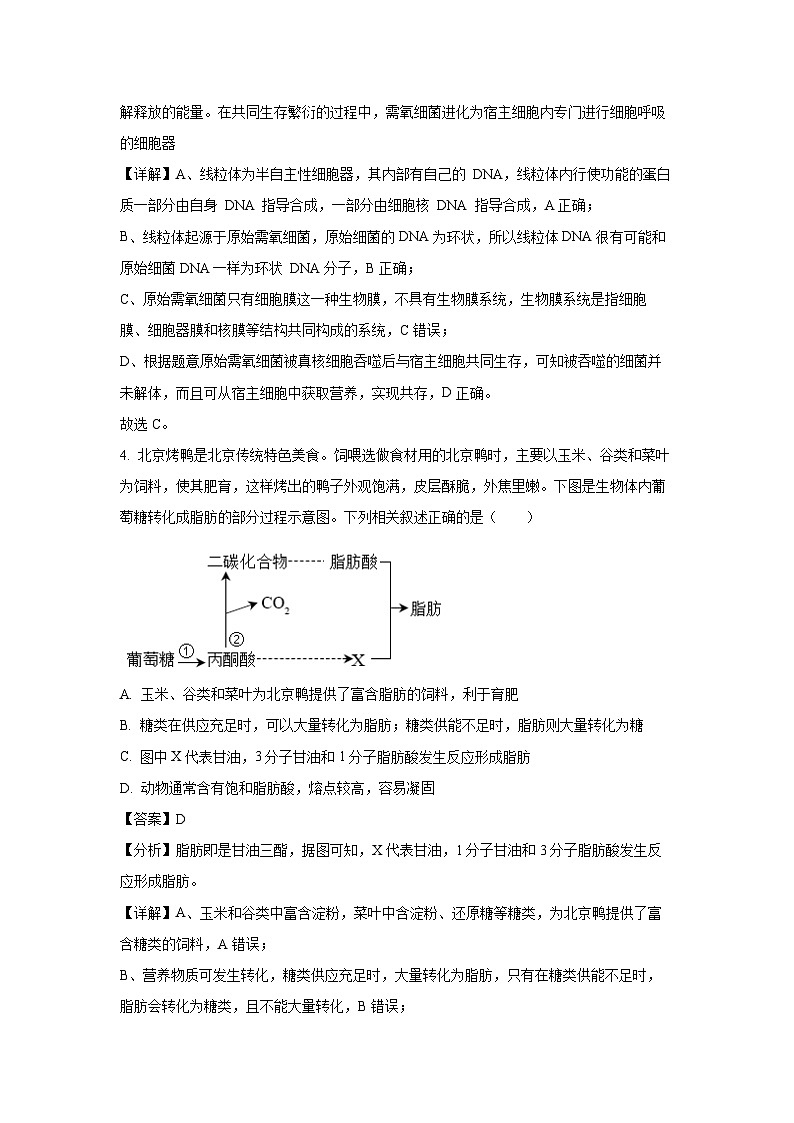 湖北省新高考协作体2024-2025学年高三上学期11月期中考试生物试卷（解析版）第3页