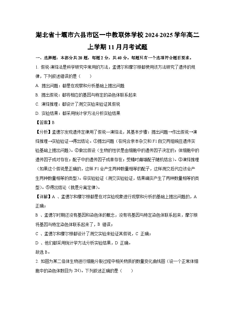 湖北省十堰市六县市区一中教联体学校2024-2025学年高二上学期11月月考生物试卷（解析版）第1页
