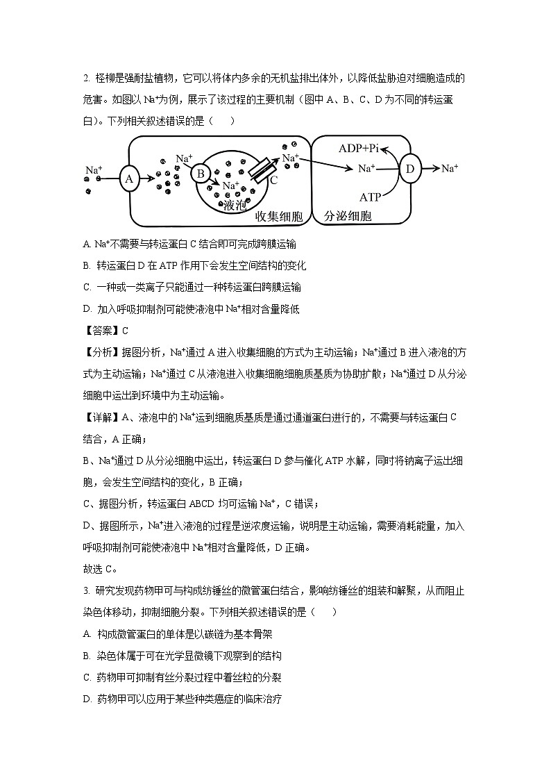河南省部分学校2024—2025学年高三上学期期中考试生物试卷（解析版）第2页