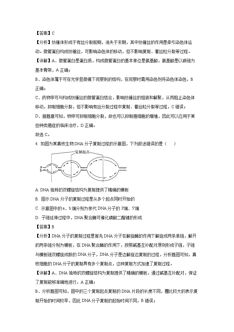 河南省部分学校2024—2025学年高三上学期期中考试生物试卷（解析版）第3页