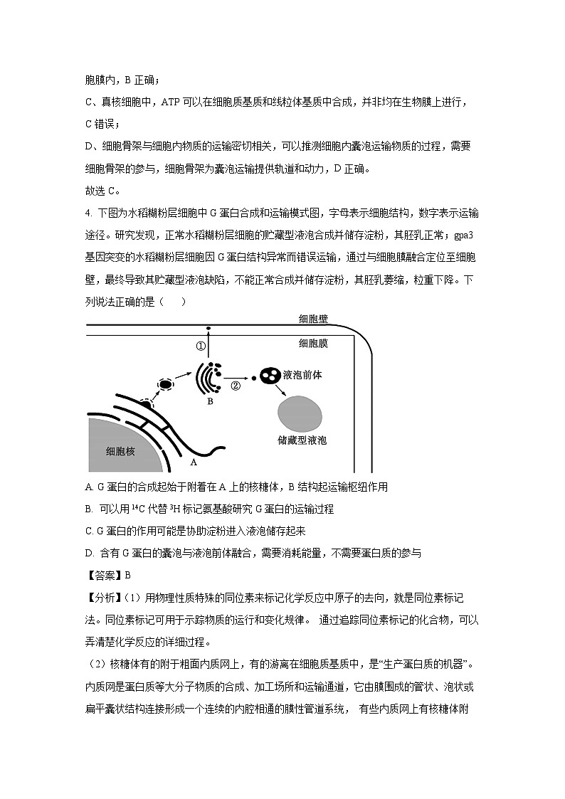 河南省三门峡市2024-2025学年高三上学期11月期中考试生物试卷（解析版）第3页