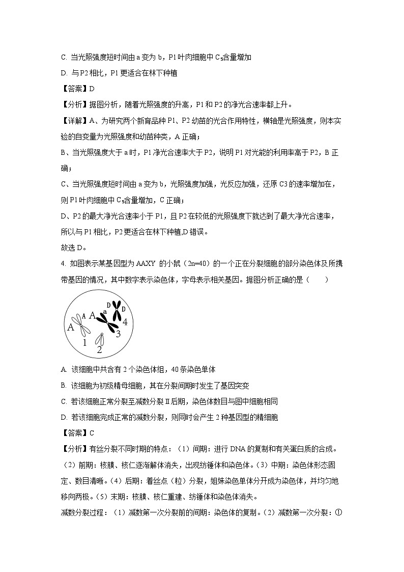 河北省邯郸市部分学校2024-2025学年高三上学期11月期中联考生物试卷（解析版）第3页