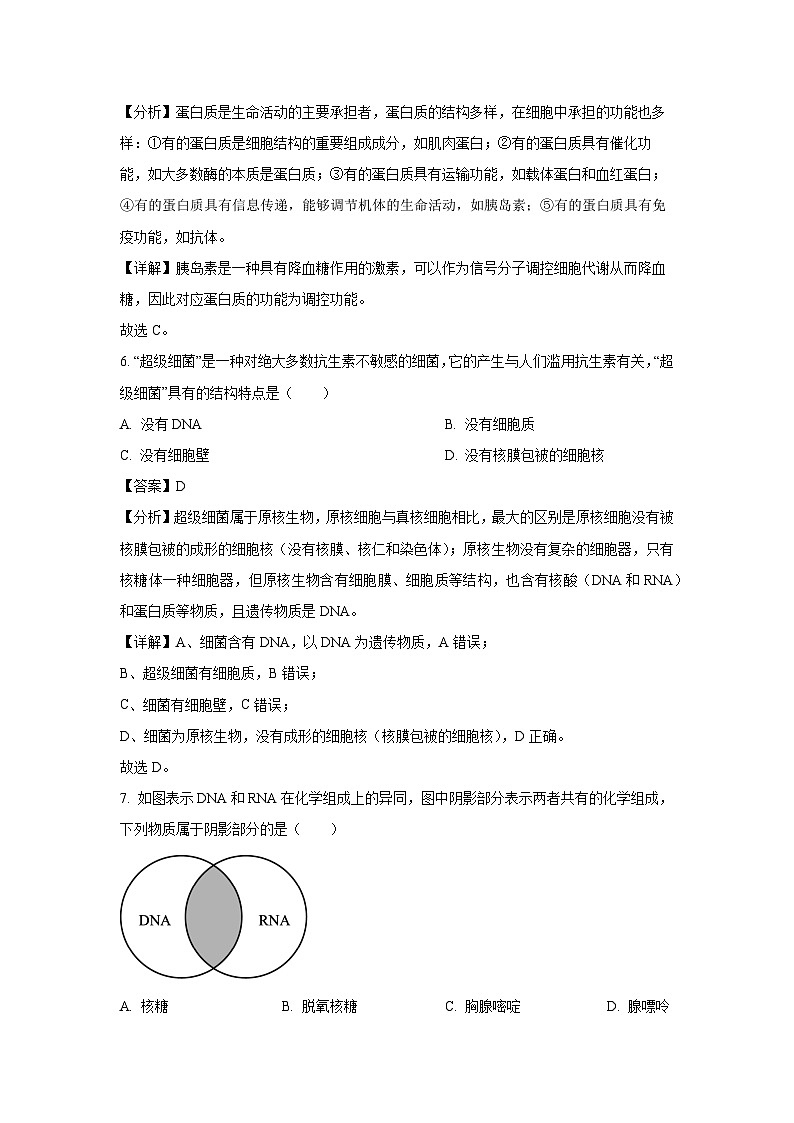 江苏省徐州市第三中学2024-2025学年高二上学期11月期中生物试卷（解析版）第3页