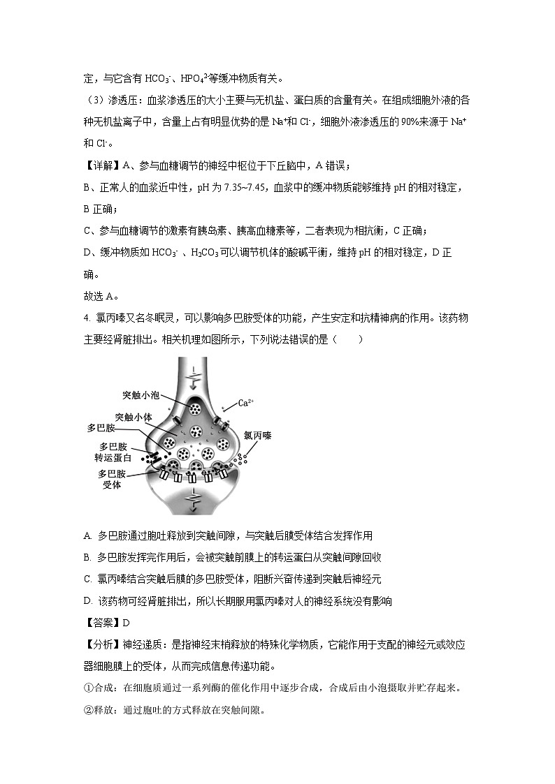山西省晋城市多校2024-2025学年高二上学期期中考试生物试卷（解析版）第3页