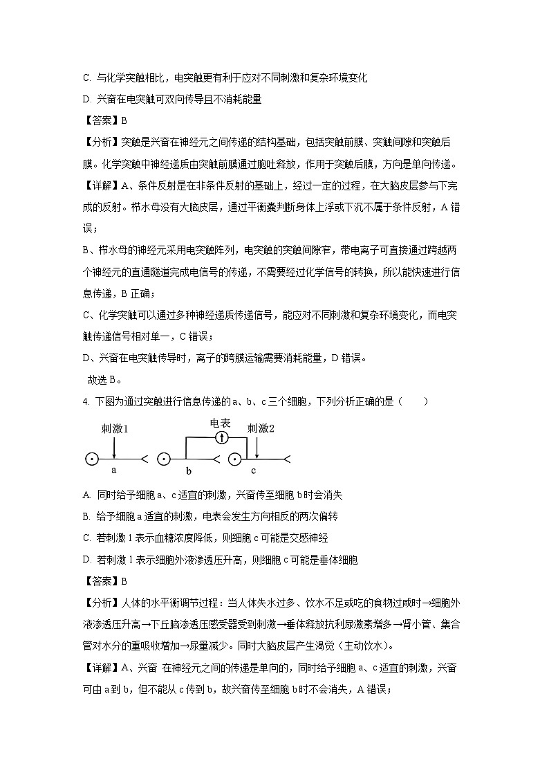 山东省菏泽市2024-2025学年高二上学期11月期中生物试卷（解析版）第3页