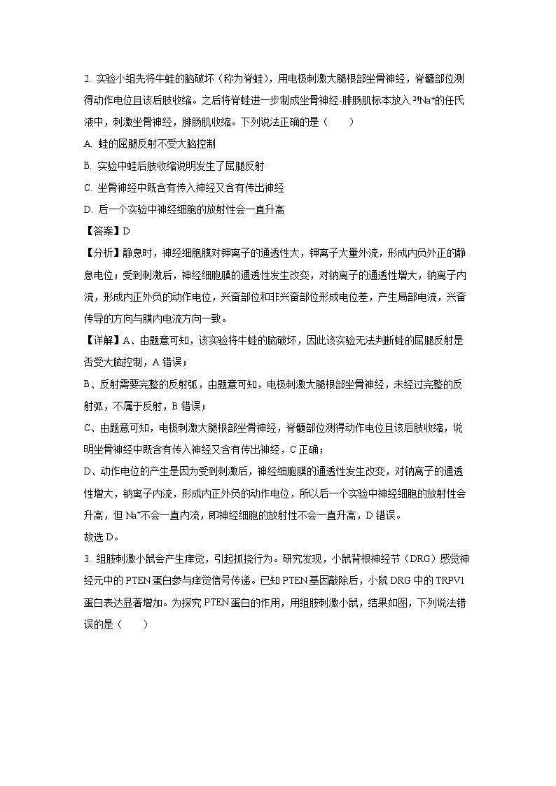 山东省潍坊市2024-2025学年高二上学期期中考试生物试卷（解析版）第2页