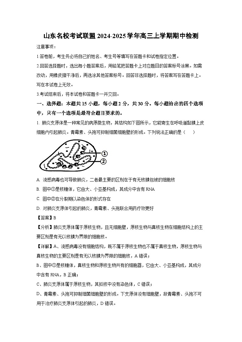 山东名校考试联盟 2024-2025学年高三上学期期中检测生物试卷（解析版）第1页